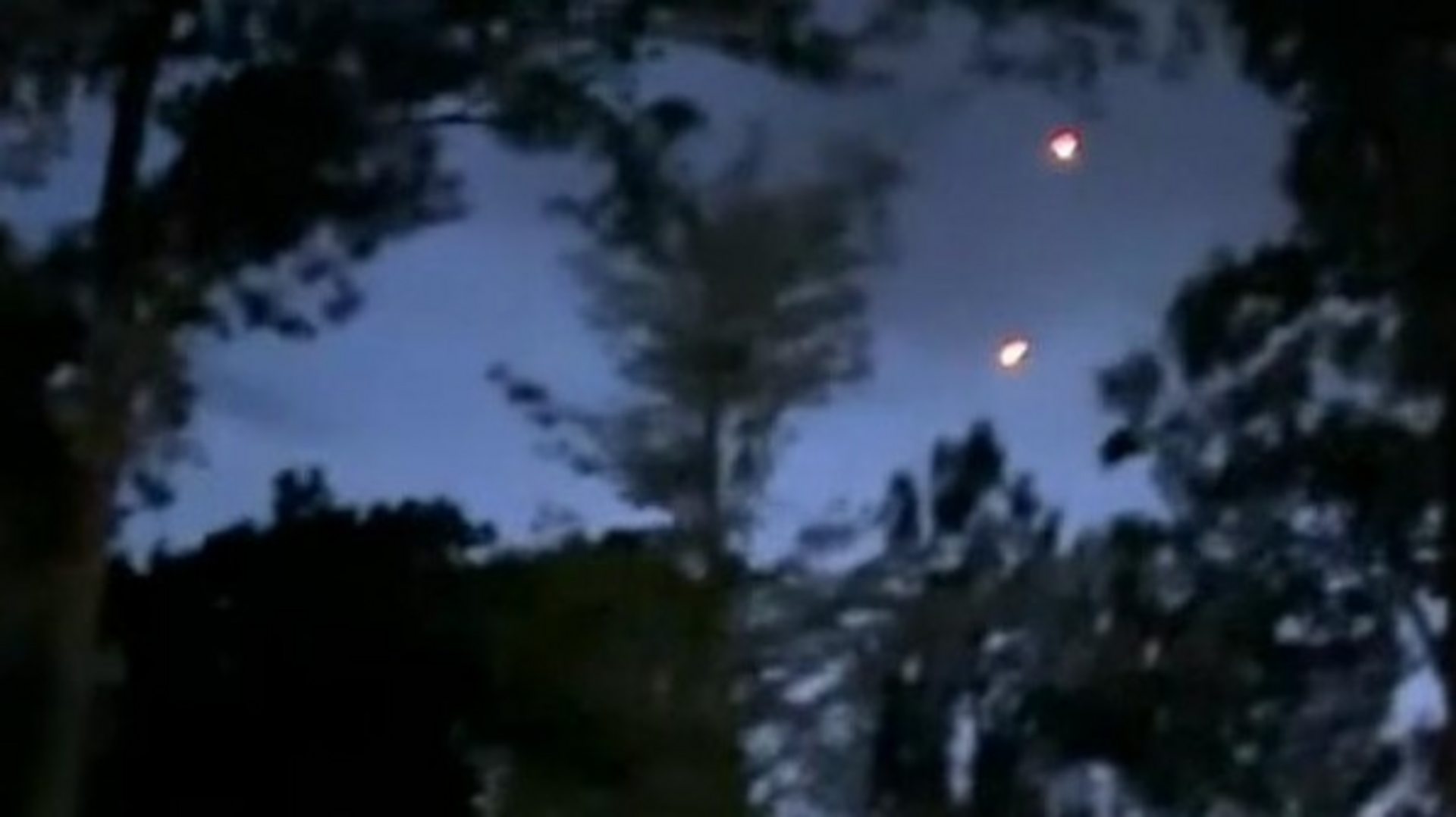 Two glowing orange lights in a twilight sky framed by silhouetted trees